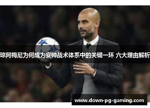 琼阿梅尼为何成为安帅战术体系中的关键一环 六大理由解析